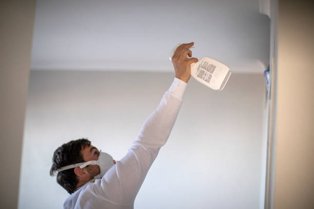 Best HVAC Mold Remediation in Coal City, IL