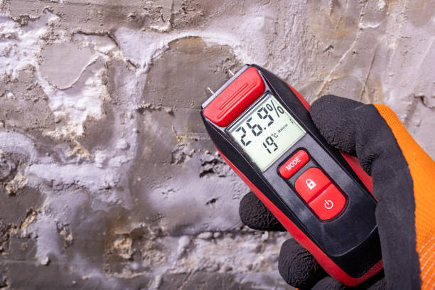 Best Attic Mold Remediation in Coal City, IL
